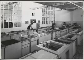Genève, avenue de la Jonction : atelier de galvanoplastie de l'usine Gardy